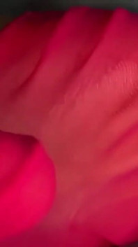Pink Foxx pembe naylon çorapları çıkarıyor