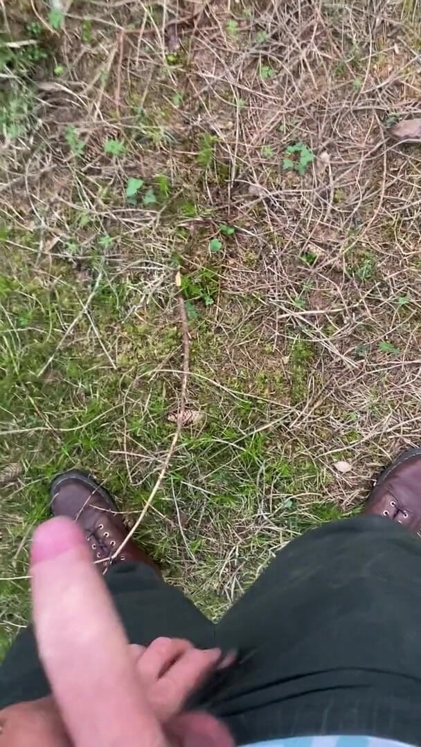 Zaharia: Porra na floresta