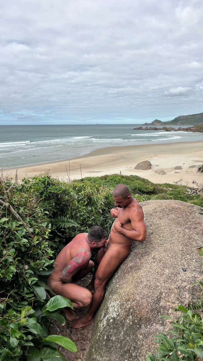 Anton Brazil: Cruising