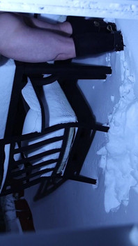 Semental con nieve: arnés, duro y desatado