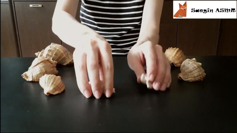 Saegin: 2[ASMR] Rubbing together and scratching seashells (no talking)
