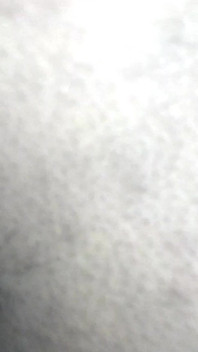 Černí chovatelé 112