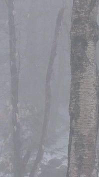 Nudo in natura