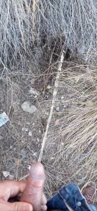 Piscio Rischioso, Ho Dovuto Urinare in Un Campo Dietro Alcuni Appartamenti Perché Il Mio Cazzo Aveva Bisogno Di Fare Pipì.