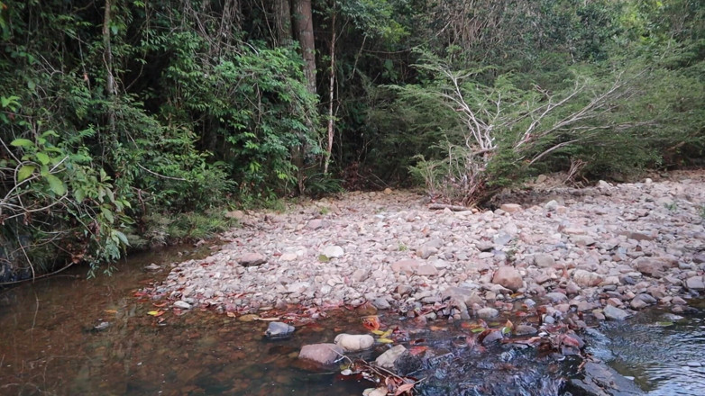 Lexly_16: Il mio amante vicino mi rade l'uovo e poi lo...