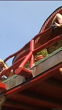 私たちの猫へようこそ