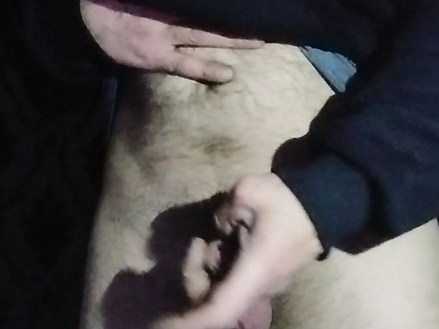 Put in (Edgar Will)
