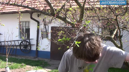 Just x gays: Two gays are tending Stepdaddy's garden