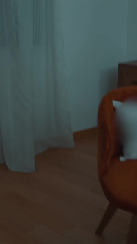 La matrigna ha aiutato il figliastro di vergine a sborrare nel letto condiviso - ha sborrata dentro la matrigna?