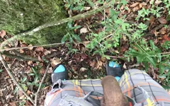 POV natuurwandeling (4K)