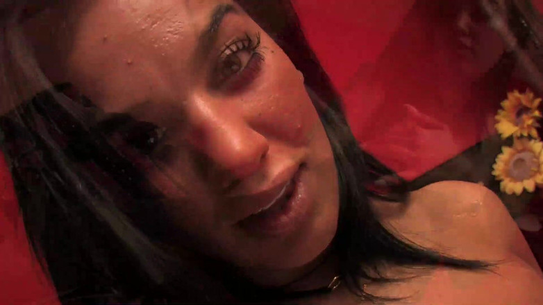 A&M Studios: あなたのための女性の3つの美しさ。