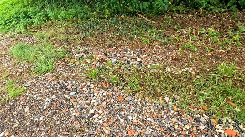 Bouncy Tits Action: Venkovní trénink koz - tvrdý