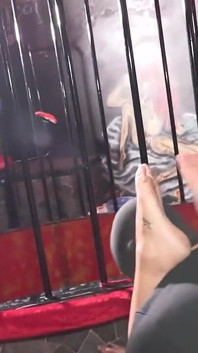 German Pornstar Kira Knight and Alina4you Fucked Hard in Cage by Strangers