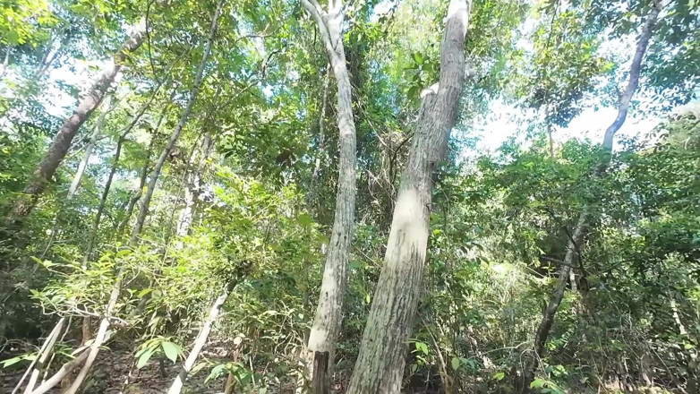RealThaiSolo: Tailandesa menina anda e se gaba de fazer xixi na...