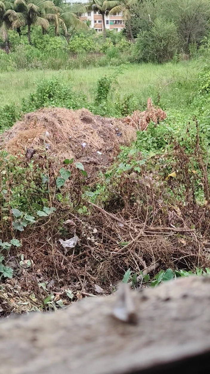 Deshihoney: Vrei doar să te fuți ducând soția unui prieten în junglă?