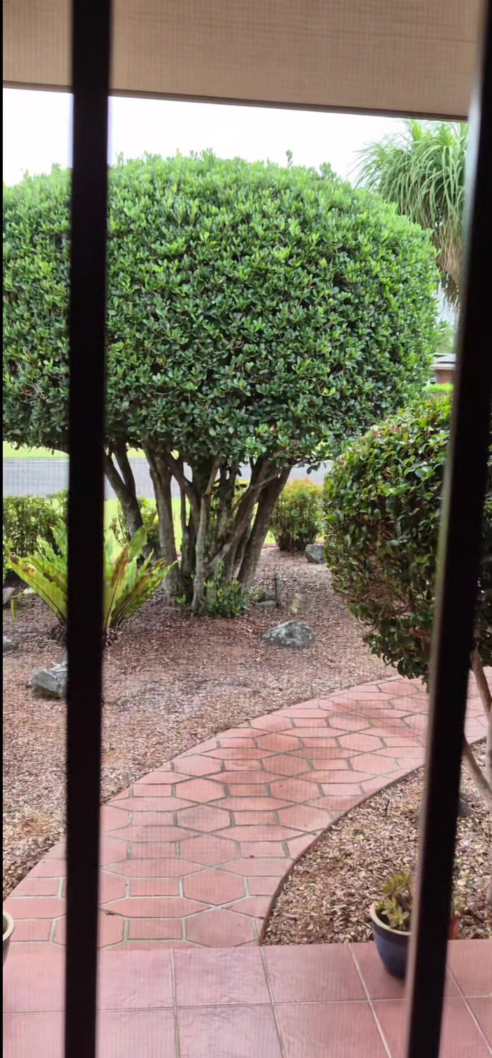 yogiyumyum: 더 이상