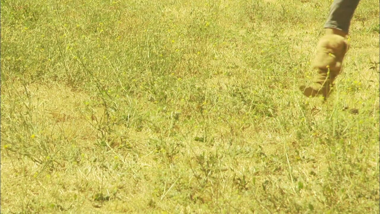 Art XXX: Sexe torride dans la nature pour une salope coquine