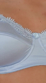 Classic Blue Bra