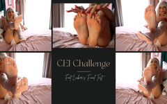 LexandLev: Výzva CEI