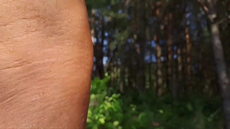 Ole63: Uvolněný v přírodě.