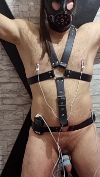Étirement électro-sondage de l’urètre - une bite se fait palpiter dans une agonie, bondage