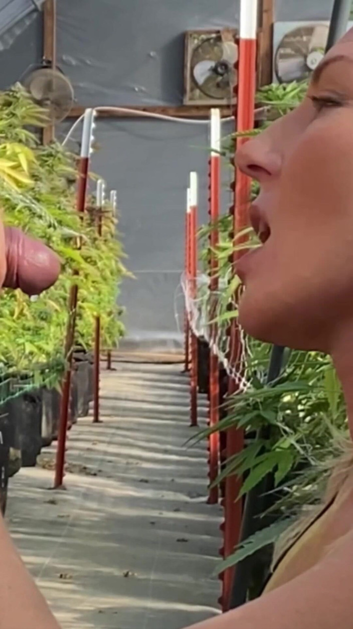 Farmers Wifey: Piscio principessa amorevole sborra brama regina, compilation di shorties