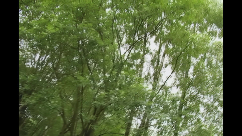 Absolute BDSM films - The original: Ohälsosamma och sjuka sinnen!!