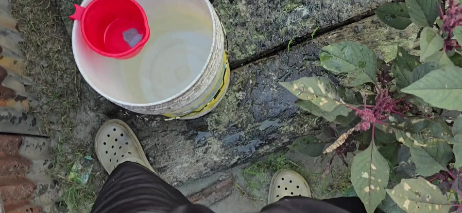 SafeRosebush8: Indické XXX koupání video porno video