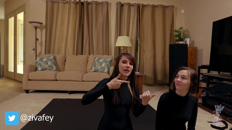Ziva Fey: Ziva Fey and Mewchii Fey - secret agent skype show custom