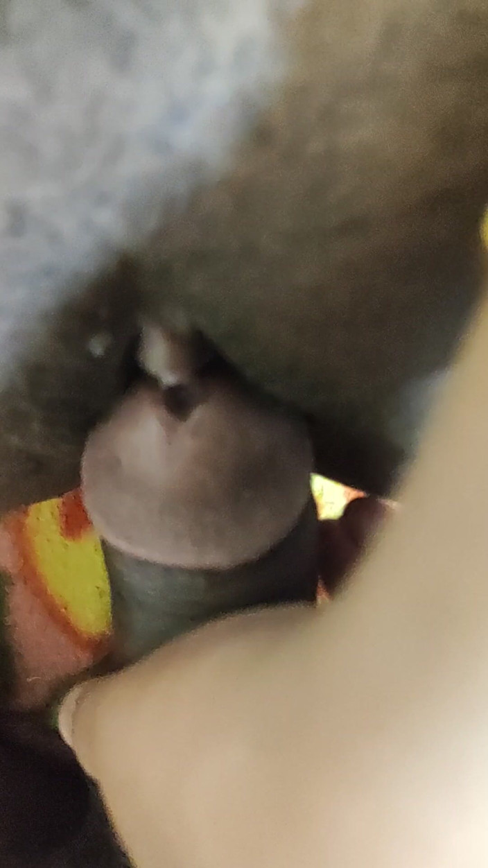 Arohi11: Lasă-o în pace, este distractiv