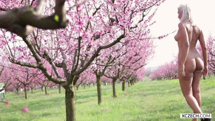 XCZECH: Sharon Cherry - Rozkvetlá třešeň - Prémie