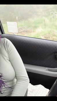 Masturbating in the Car