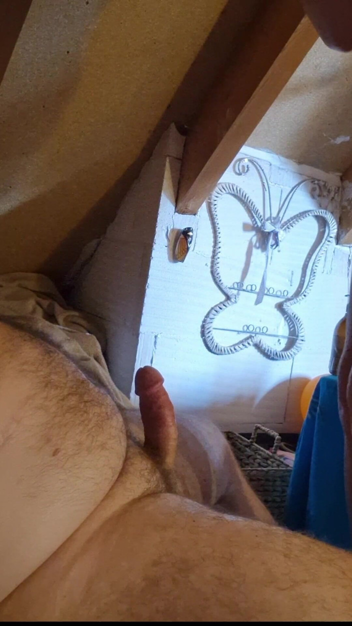 Sexy Butterfly: Sextape 18 Min. with Forest Viking