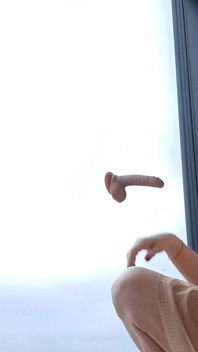 Joc cu jucării - vibrator pe fereastră - muie