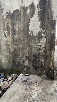 숲에서 농부와 섹스하는 갈색