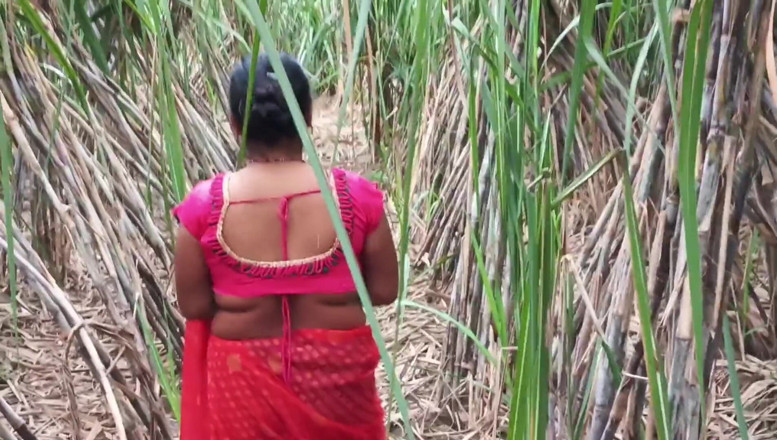 Desistepsis: Meine stiefmutter und ich sugarcane feld me Desi Dorf-video Samastar