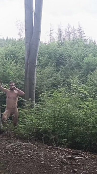 Mezi Buky: Drsná Exhibice Na Holém Dřevě