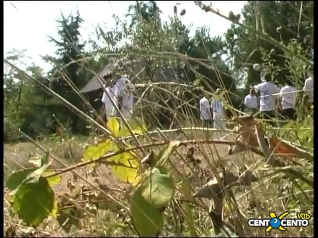 Topaweb: Minum air mani dahaga. Lelaki memancut mani pada kepala yang...