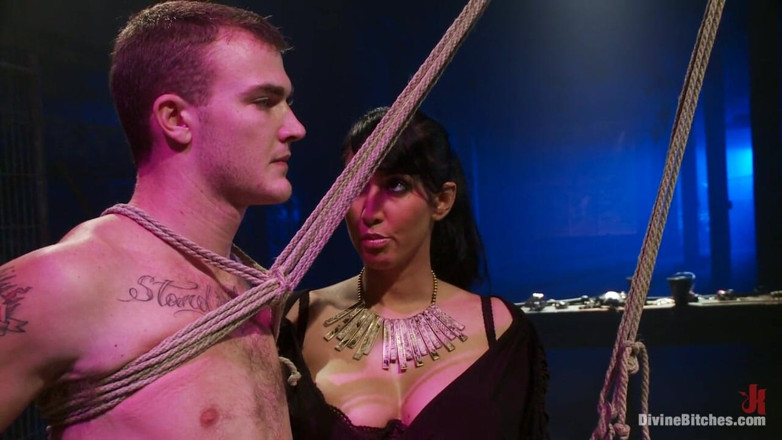 Divine Bitches by Kink: Christian Wilde