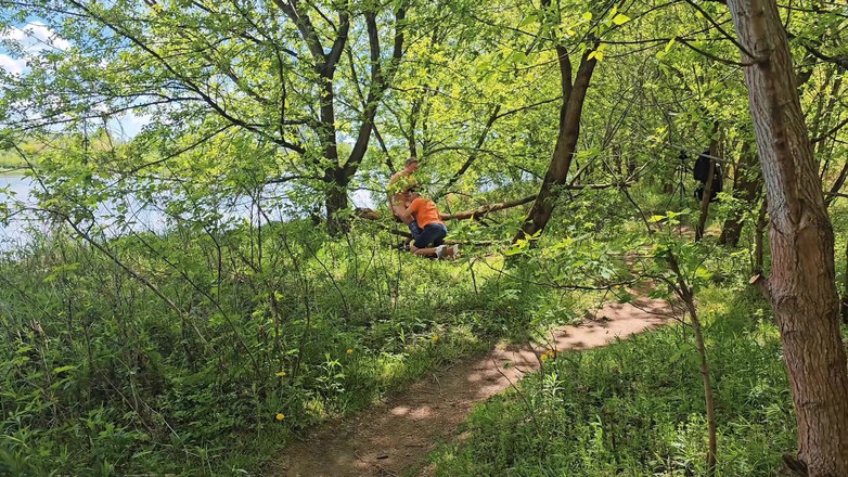 Nick Lewis: Ormanda iki adamı yakaladık