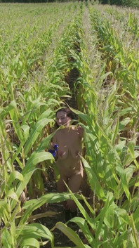 Larian berbogel di padang jagung