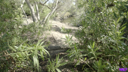 BrattyMilf: Bu benim yarağım baston değil - s7e4