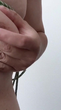 Titisbdsm3