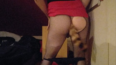 Joslin: Banci Joslin menari dengan palam punggung ekor