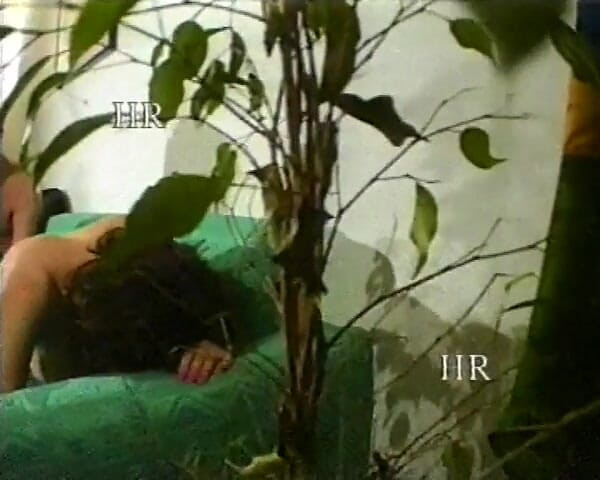 Hans Rolly: Exhibitionisten op zoek naar een pik in spanningseotisme 1
