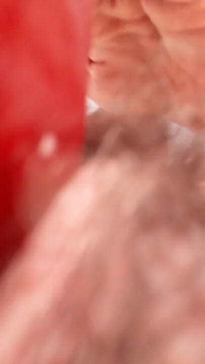 ViviBush: Hairy teen giantess finds her little stepbrother
