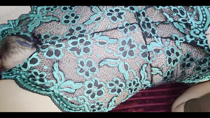 Wild fetish: 내 학생과 놀기