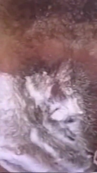 Brunette Babe Gets Hairy Pussy Shaved in Steamy Bathtub Fetish