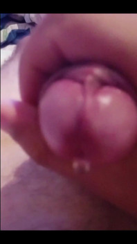 shotcut-20240213-090935.mp4