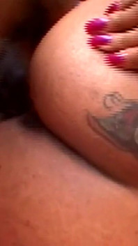 Young Black BBW Gets Banged by a Big Black Cock